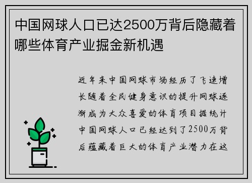 中国网球人口已达2500万背后隐藏着哪些体育产业掘金新机遇